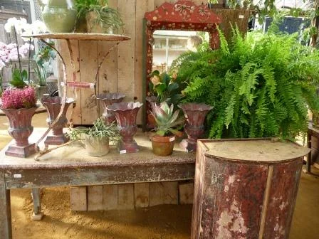 Another inspiring day at Petersham Nurseries