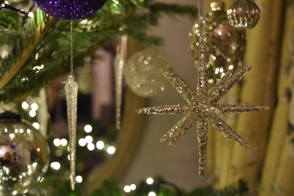  I bought five of these beautiful sparkly stars from  Petersham Nurseries  this year.&nbsp; 