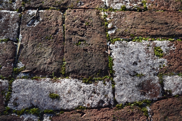 Icy paving stones