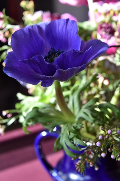  I just had to capture this gorgeous blue anenome in this little blue vintage jug bathed in winter sunlight.&nbsp; 