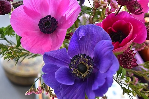 Top tips for buying & arranging flowers for your home