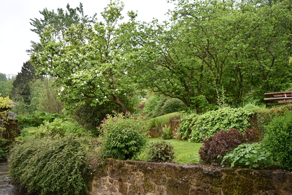 m_DSC_0010.jpg