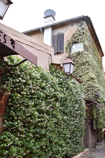 The gorgeous jasmin covered Auberge des Maures