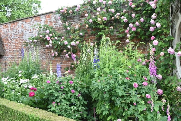m_Rose Garden (12).jpg