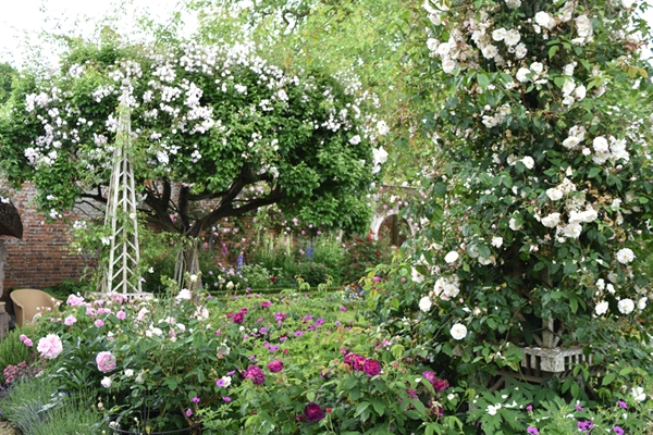 m_Rose Garden (20).jpg