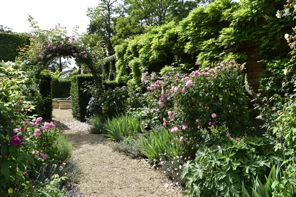 m_Rose Garden (38).jpg