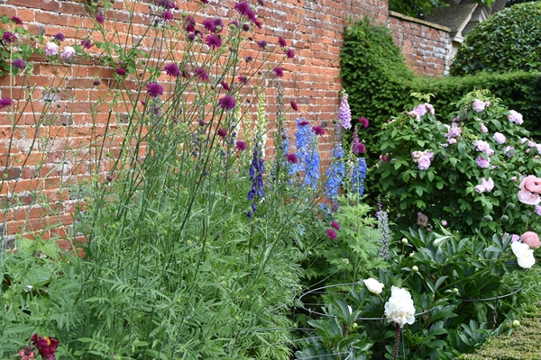 m_Rose Garden (44).jpg