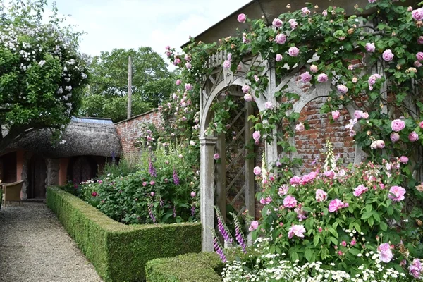 m_Rose Garden 40.jpg