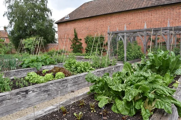 m_Veg Garden (4).jpg