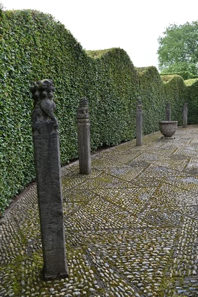 m_Hedges (9).jpg