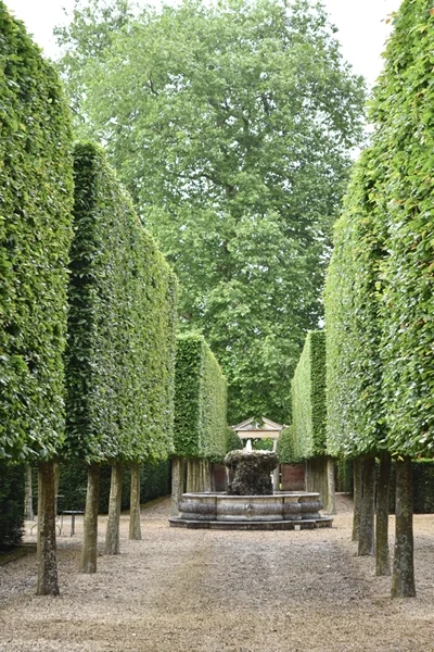 m_Hedges (8).jpg