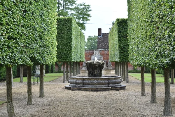 m_Hedges (11).jpg