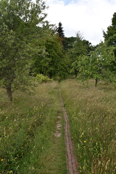 m_DSC_0090.jpg