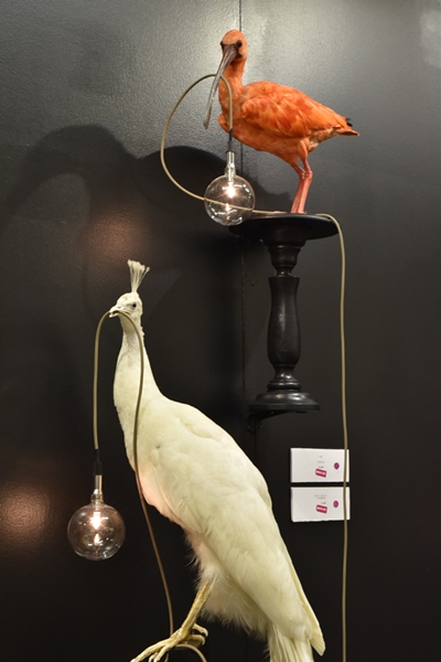 m_Elle Kaye Taxidermy (4).jpg