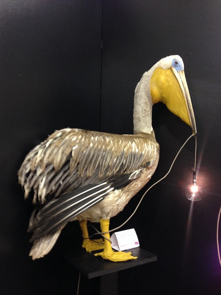 m_Elle Kaye Taxidermy (11).jpg