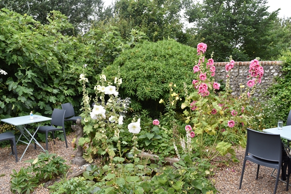  The cafe has seating among the hollyhocks and fig trees laden with fruit 