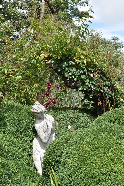 m_DSC_0035.jpg