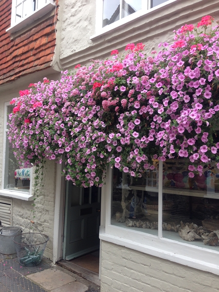 This display of petunias is quite something. You have to duck to enter the shop.  Look at the next image which is what you see as you exit the shop!