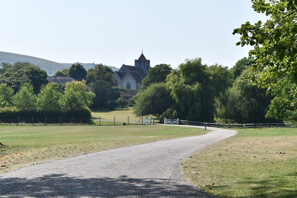  The sweeping drive through parkland up to the house which is hidden behind trees 