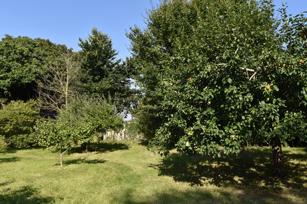 m_Garden - orchard (12).jpg