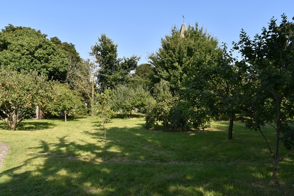 m_Garden - orchard (13).jpg