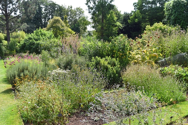 m_FlowerBeds (2).jpg