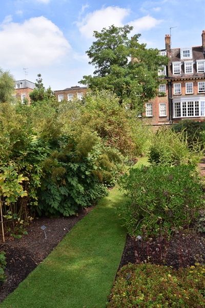 m_FlowerBeds (8).jpg