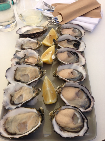 Coffin Bay king oysters - huge!
