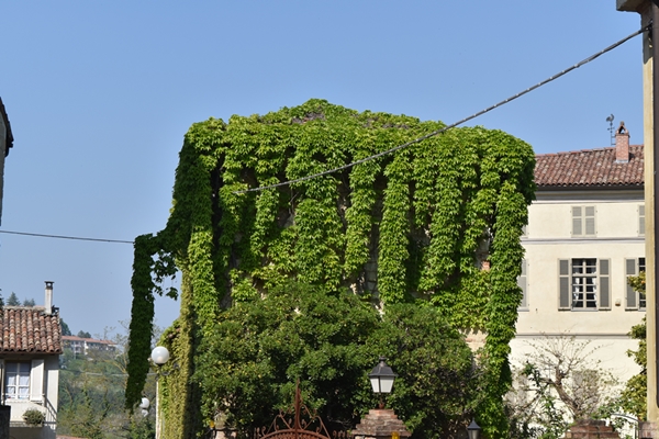 m_DSC_0032.jpg