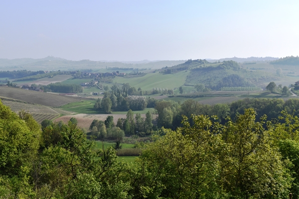 m_DSC_0041.jpg