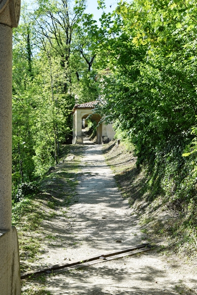 m_DSC_0022.jpg