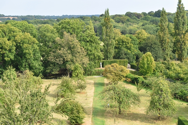 The orchard with paths mown 