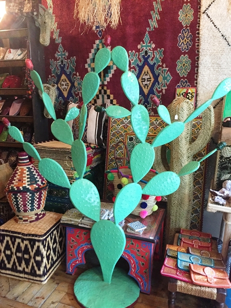 Fez Bazaar - every home needs one of these cacti !!!