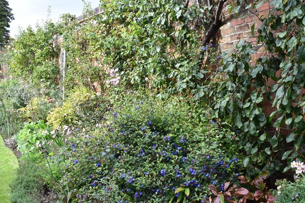 Petersham House Open Gardens Angela