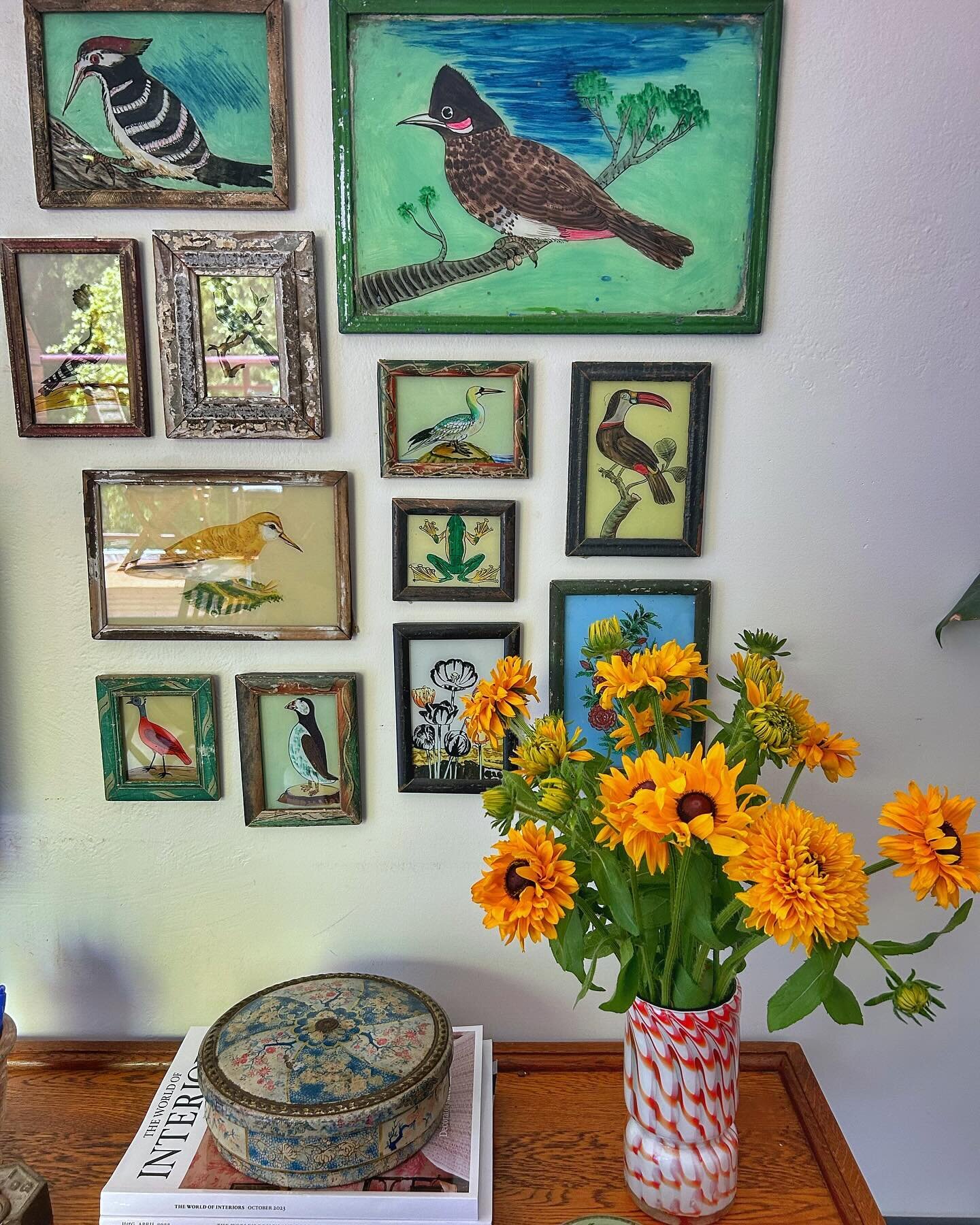 First flowers I&rsquo;ve bought in over a month. $42 for two bunches and I managed to get multiple vases from them (swipe right). Two vases from the yellow Rudbekia and multiple from the mauve flowers (no idea of their name). I love to bring nature i