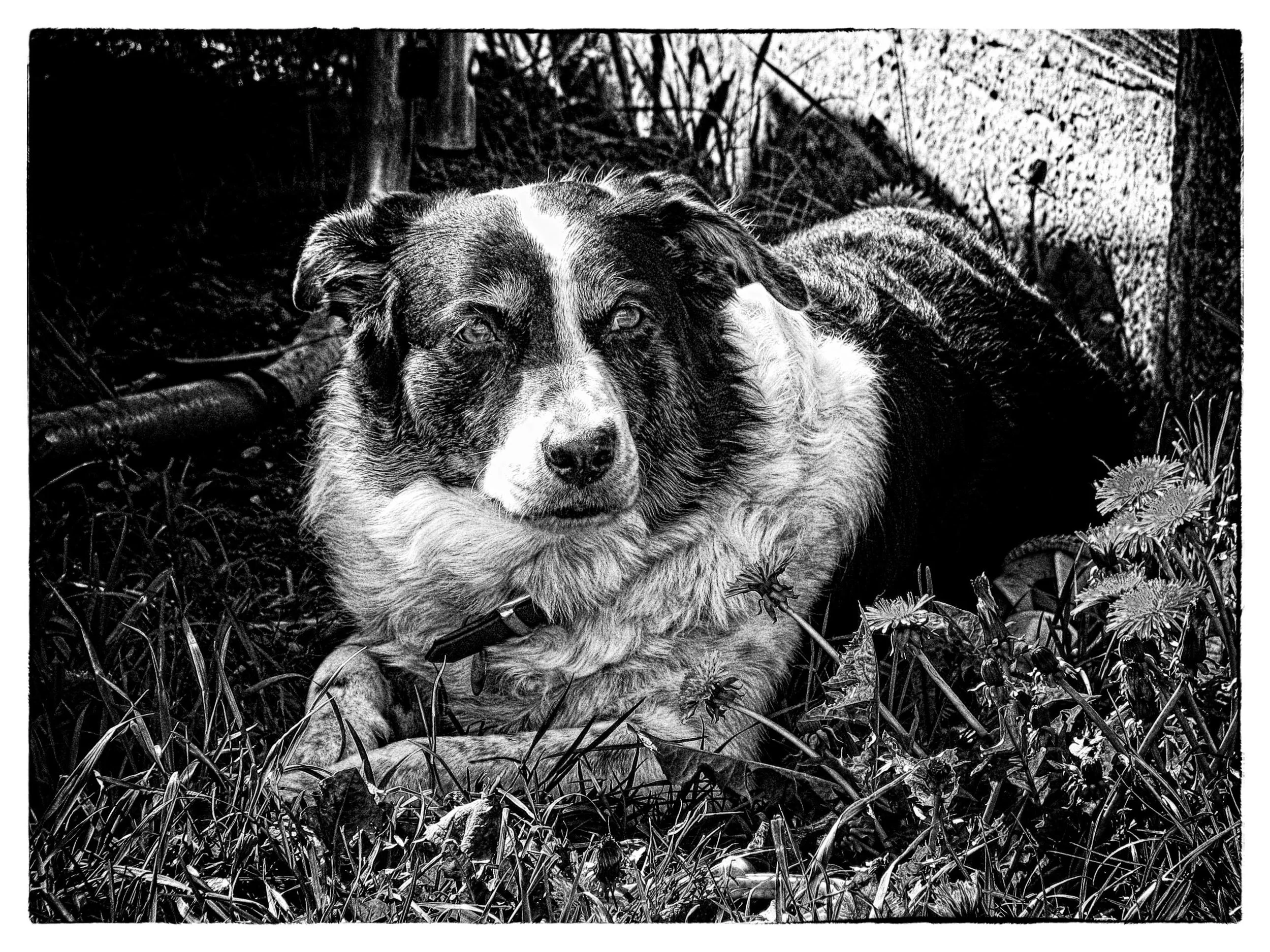 IMG_2918-Edit-Edit_Edit-Edit.jpg