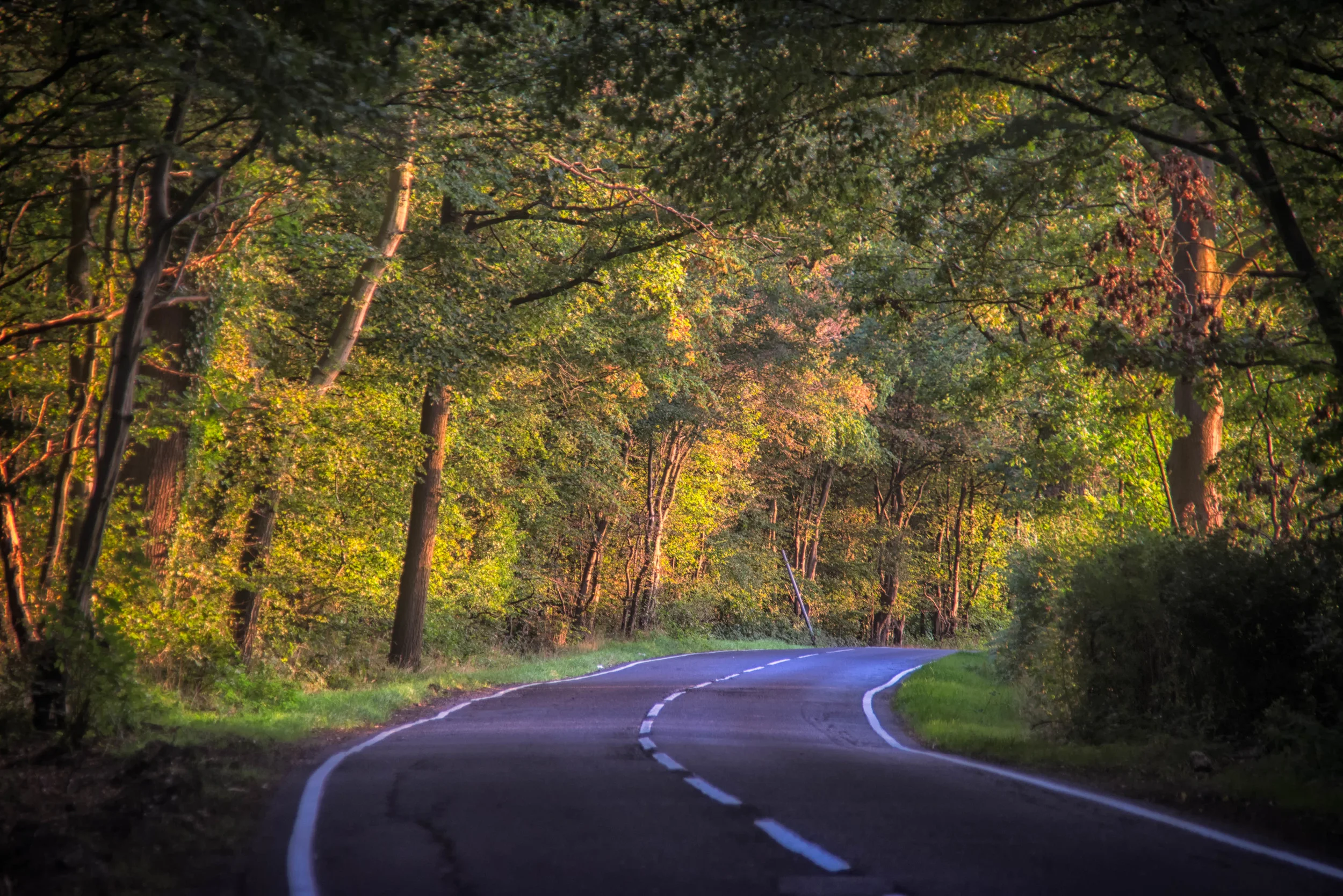 PGL_7911-Edit-Edit.jpg
