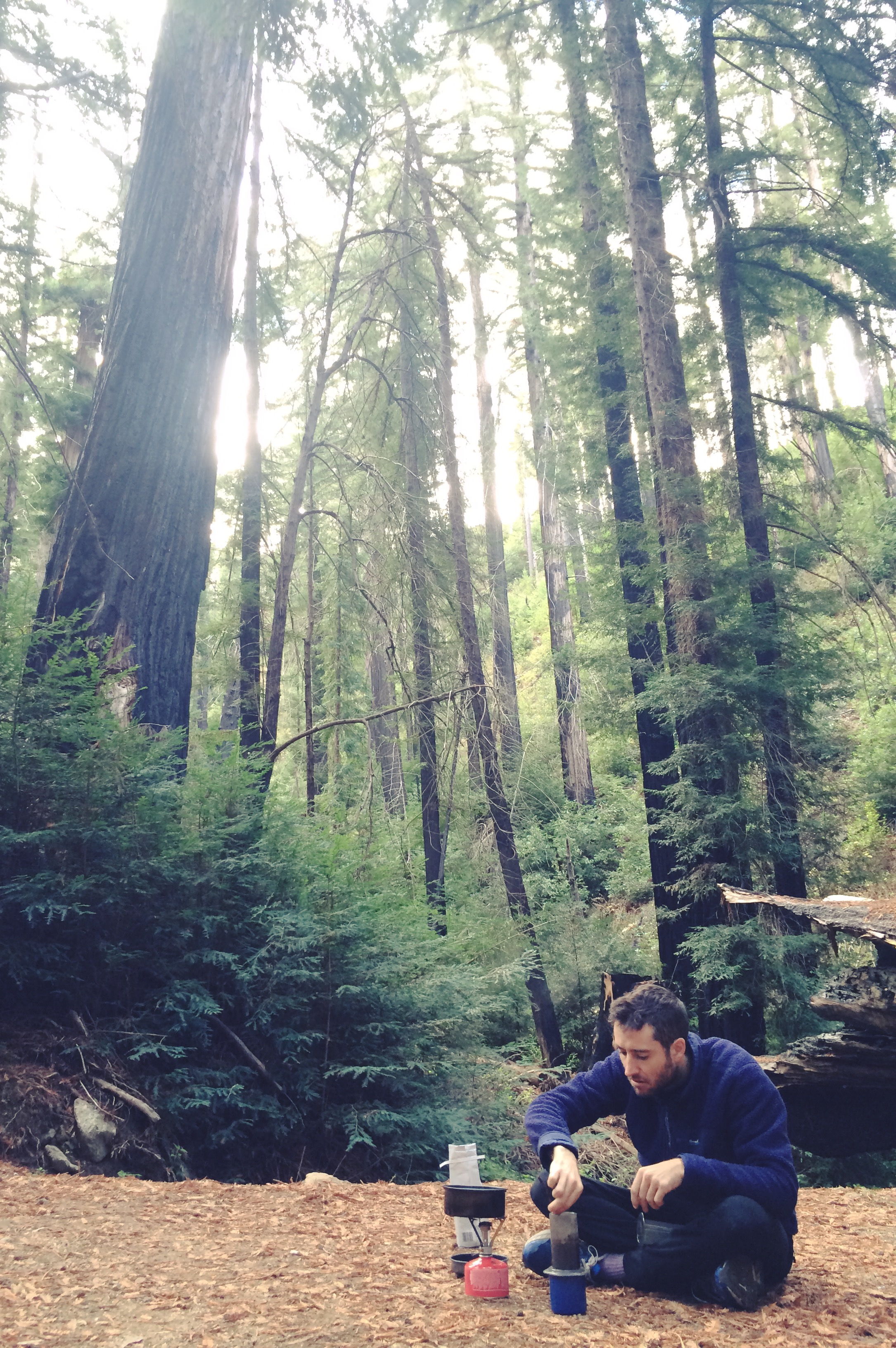 People concerns, tree concerns