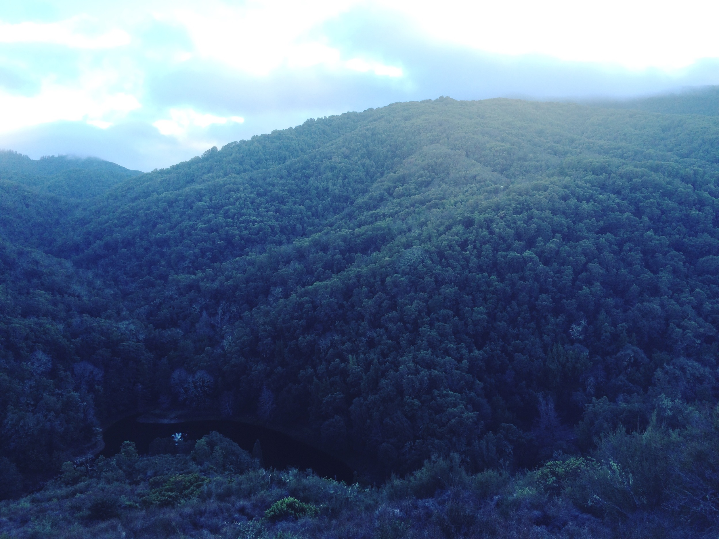 a wet year in the high lands