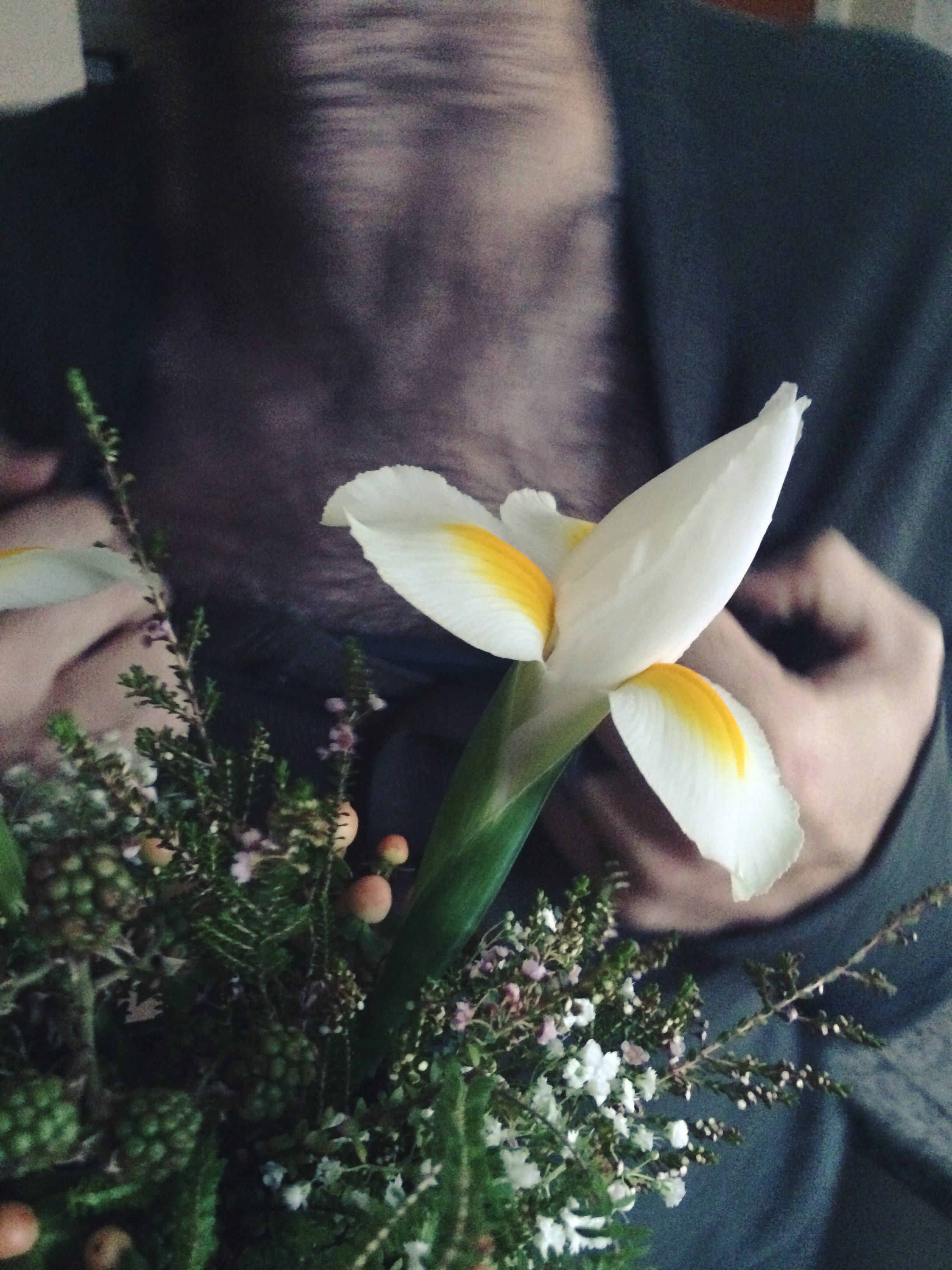 thank you, come again, spring's nearly here, seed order time