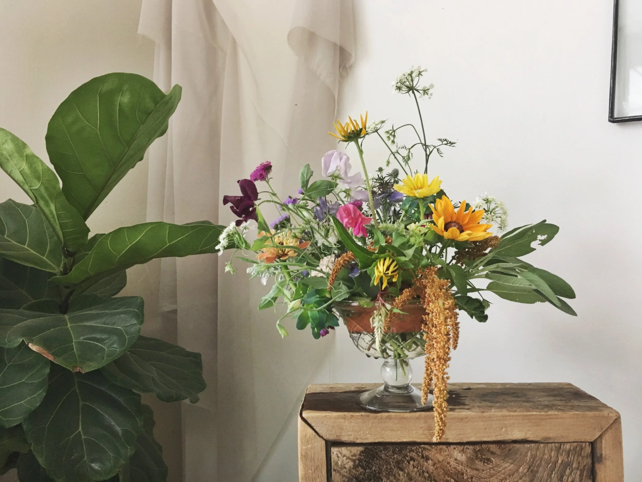 Giant Eagle Flowers For Mother S Day Best Flower Site