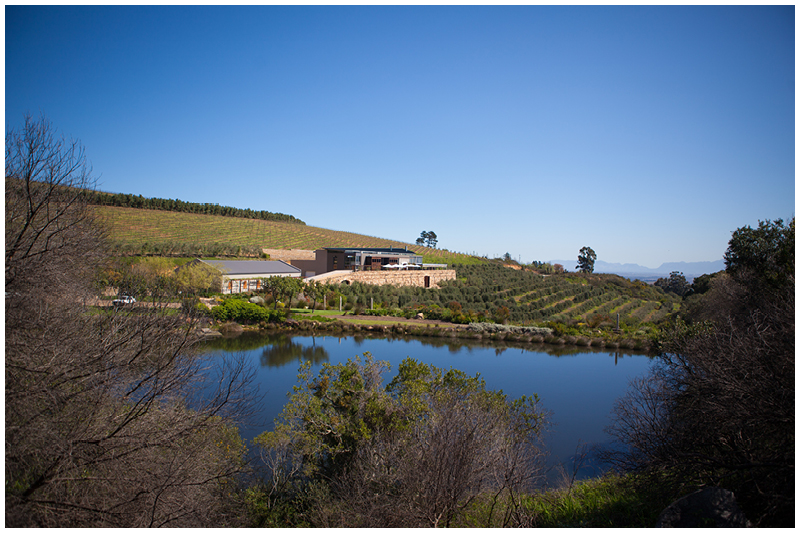 Abby & Ettiene_Hidden Valley_Stellenbosch Wedding_001.jpg