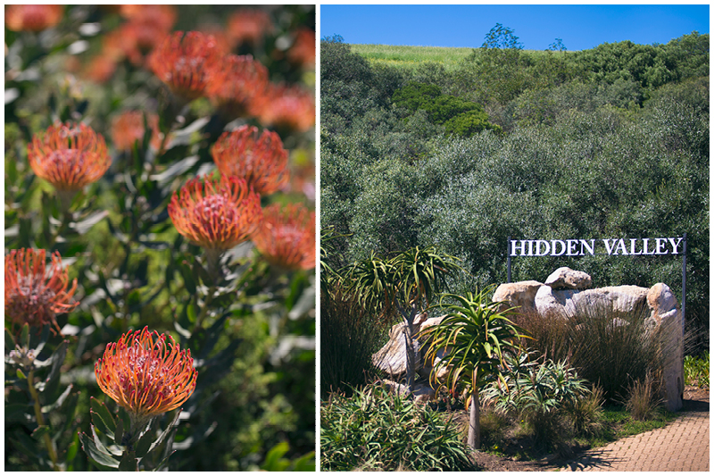 Abby & Ettiene_Hidden Valley_Stellenbosch Wedding_002.jpg