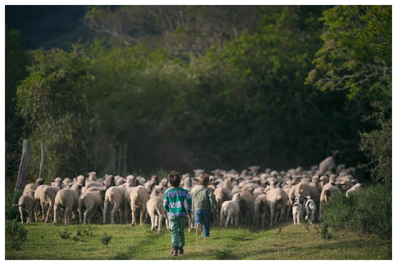 Painter_Eastern Cape_Family farm photoshoot_56.jpg