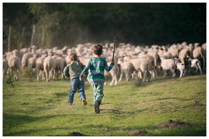 Painter_Eastern Cape_Family farm photoshoot_55.jpg