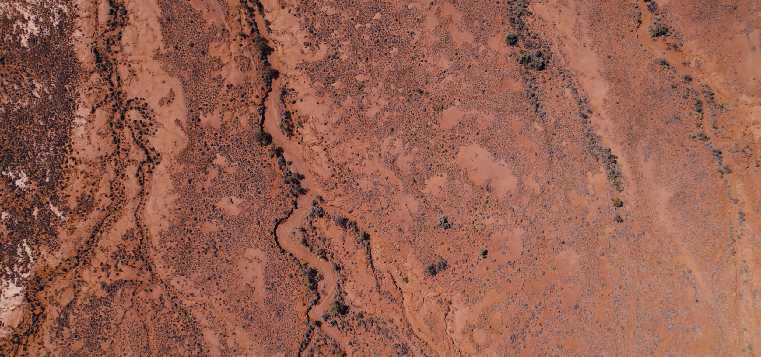 Screenshot 2025-03-27 at 5.43.19 pm_1.jpg