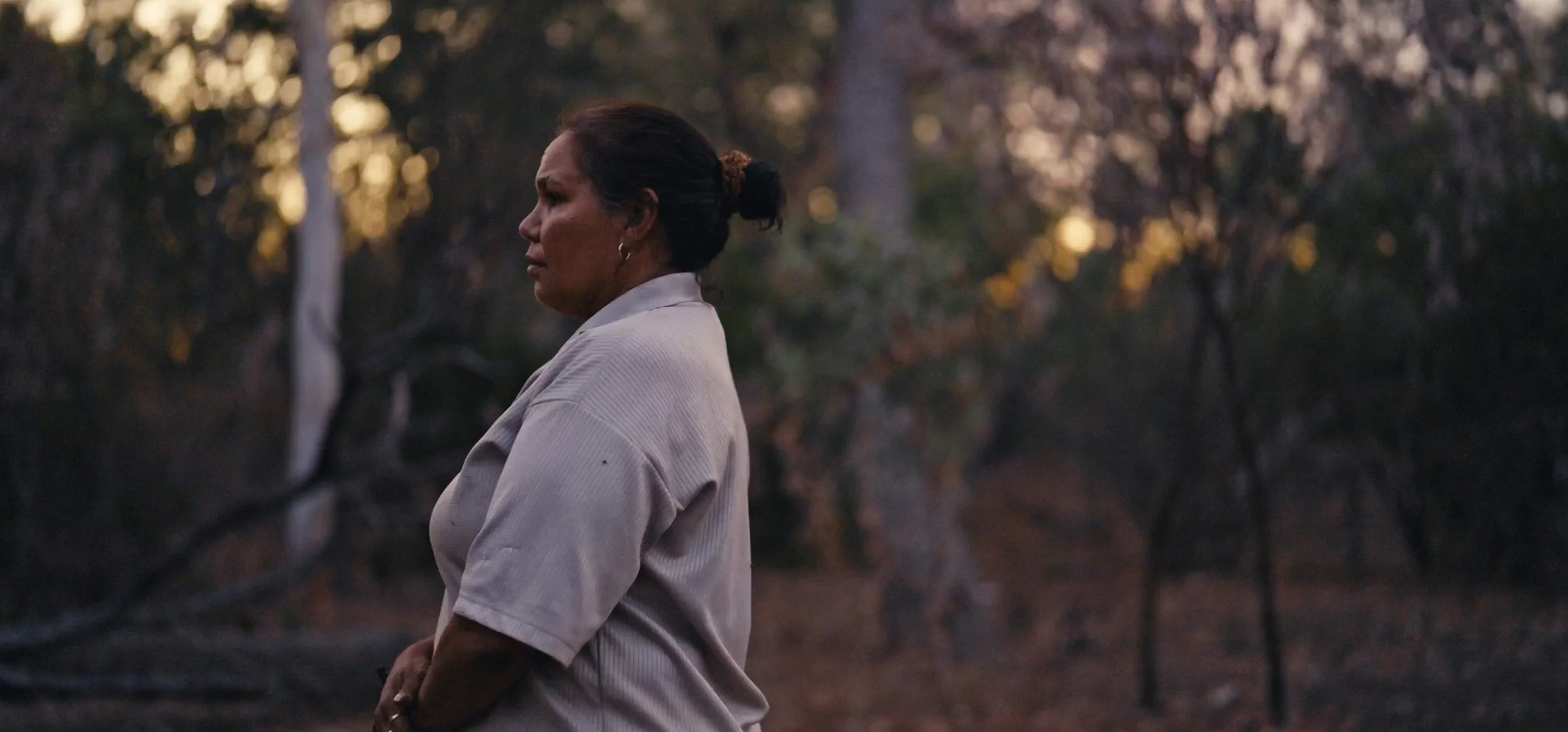 Screenshot 2025-03-27 at 5.45.15 pm_1.jpg