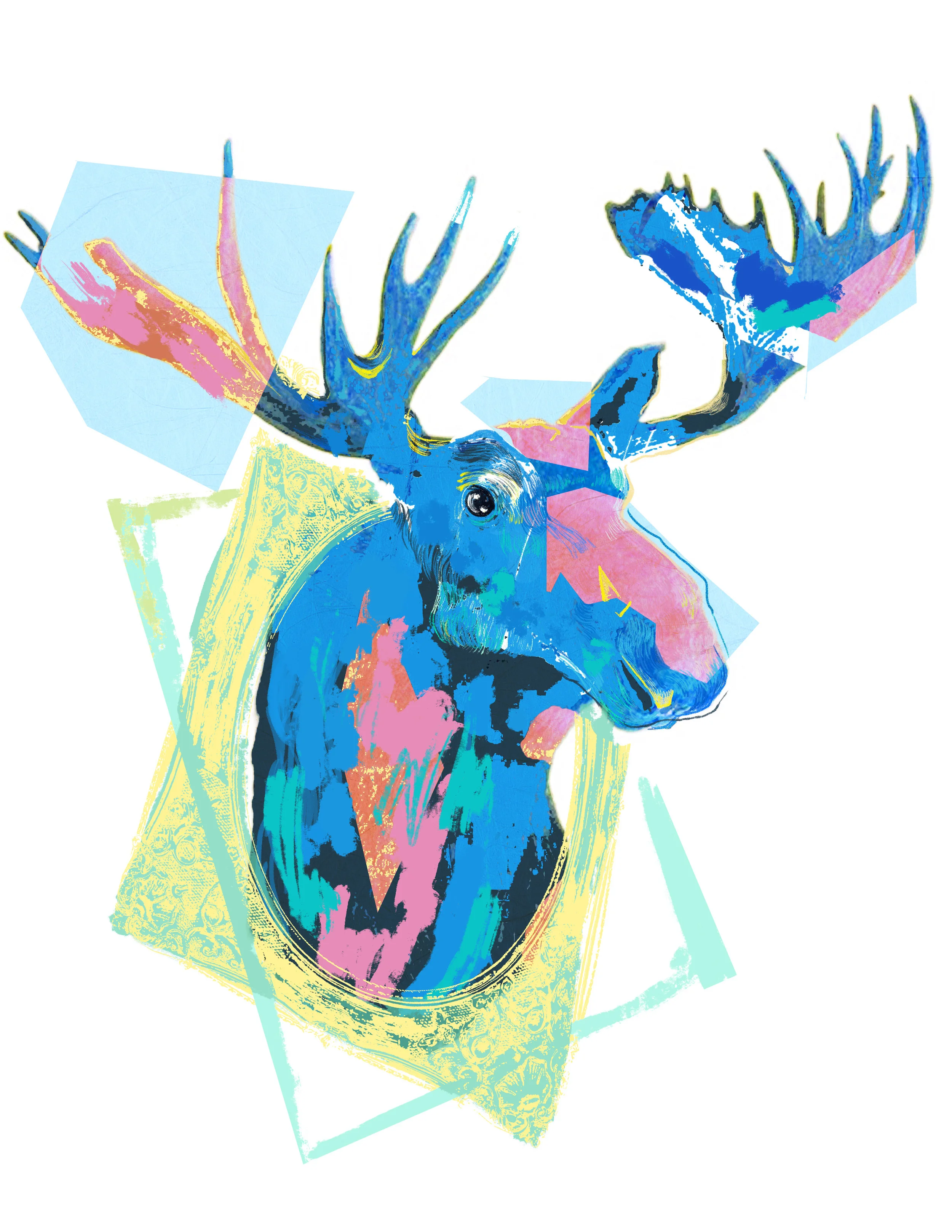 moose.jpg