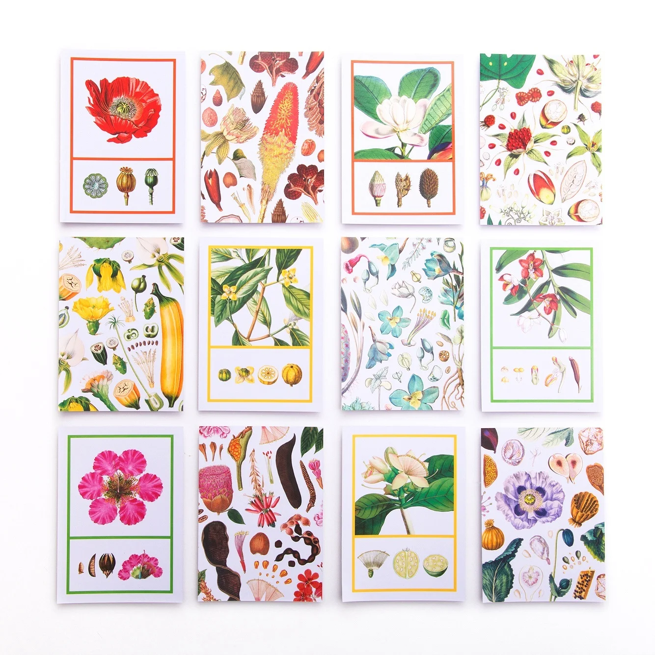 Seeds%2Band%2BPod%2Bcard%2Bgrid_933.jpg