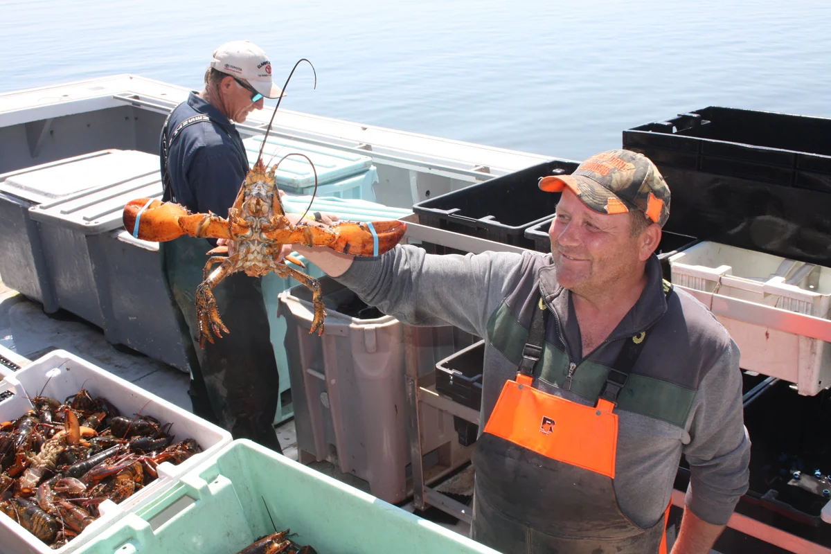 Fisheries